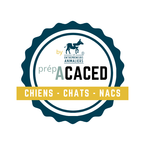 certification ACACED