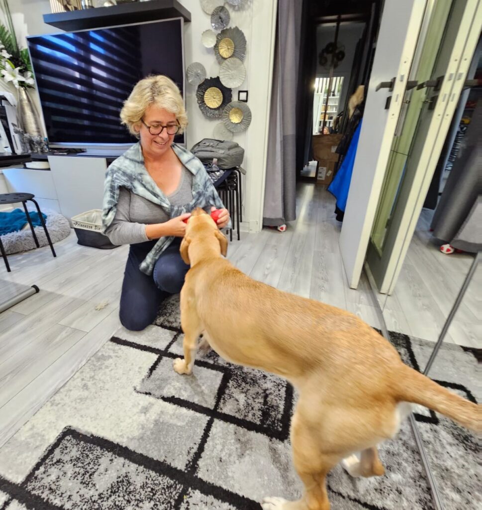 éducateur canin et chien créole