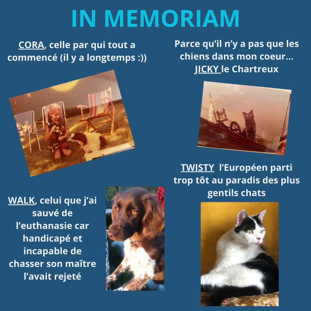 Les animaux de ma vie