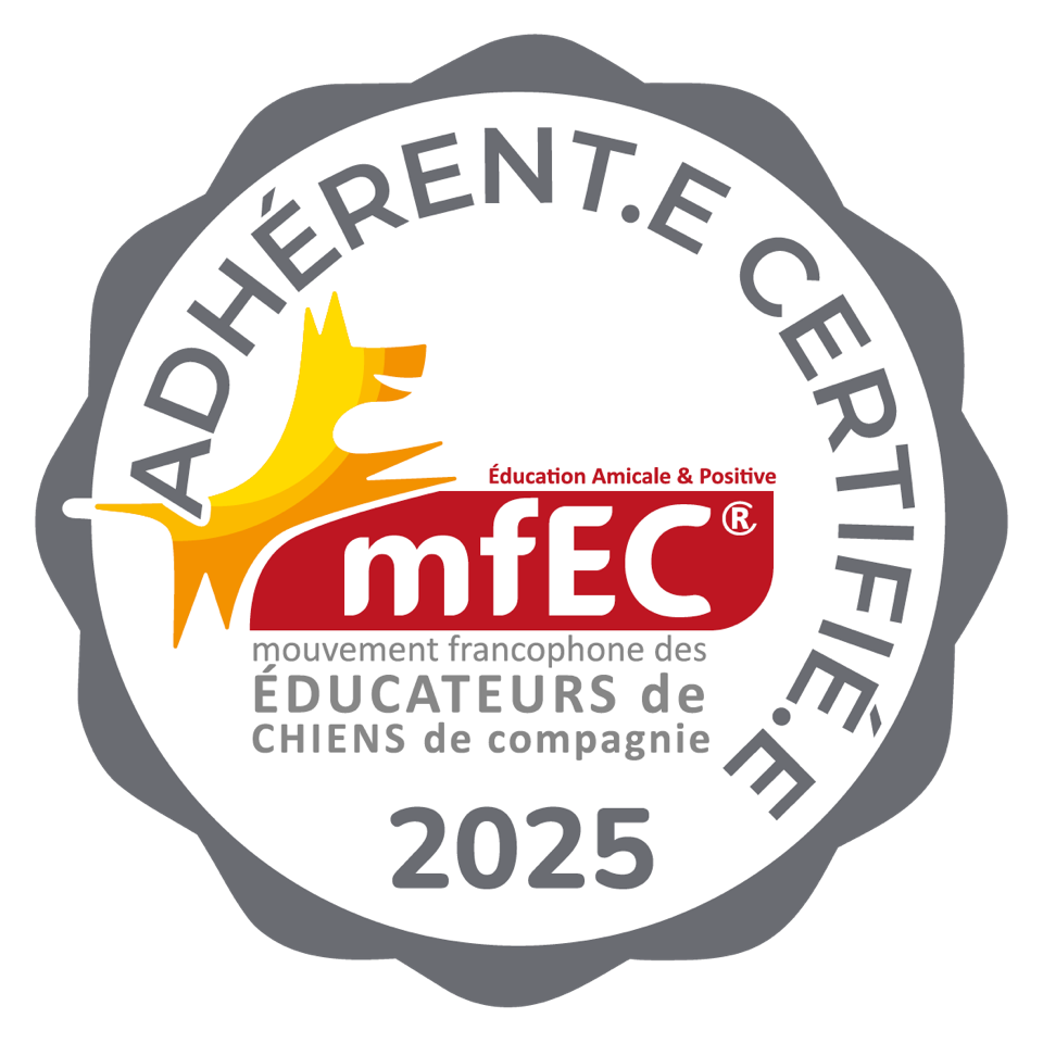 adhérent référencé MFEC éducation bienveillante du chien de compagnie