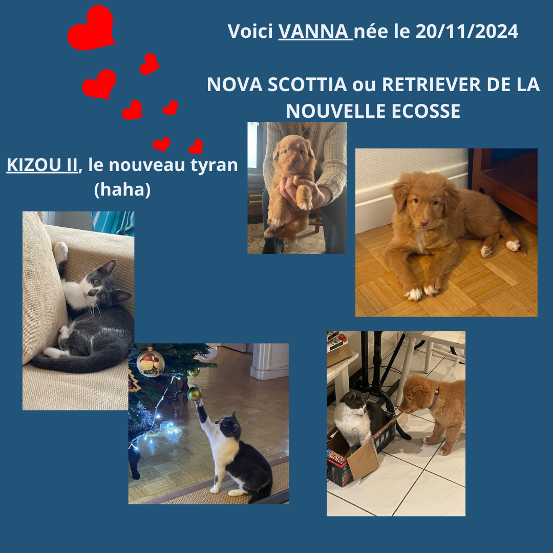 Les animaux de l'éducatrice