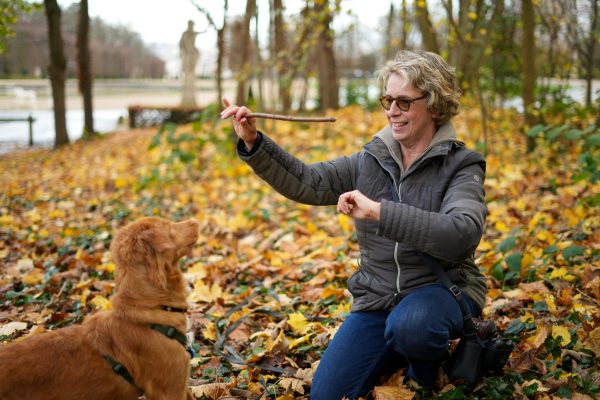 Jeu au parc de saint cloud chien éducation comportement